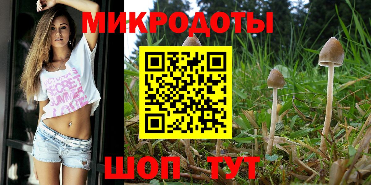 Галлюциногенные грибы Cubensis  Галлюциногенные грибы MAGIC MUSHROOMS  Прохладный  Вход с VPN 