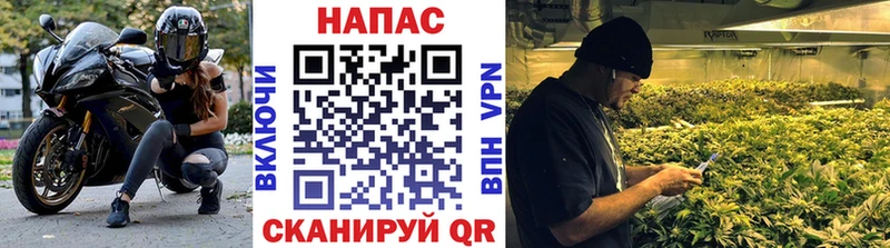 Конопля OG Kush  закладки  маркетплейс формула  Прохладный 